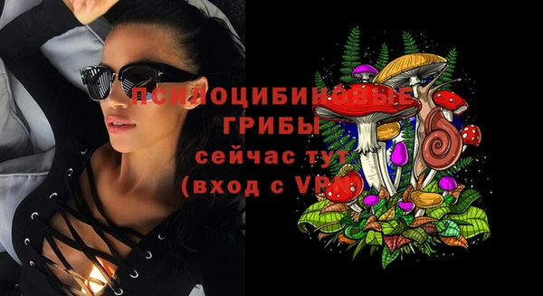 индика Вязьма